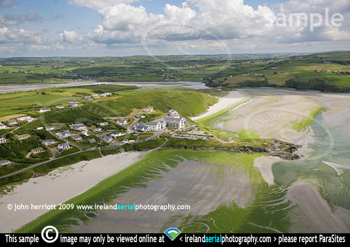 algae beach West Cork